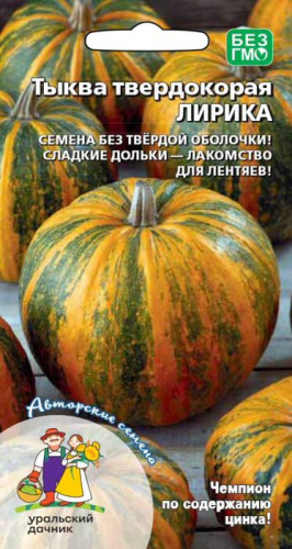 Тыква Лирика - твердокорая