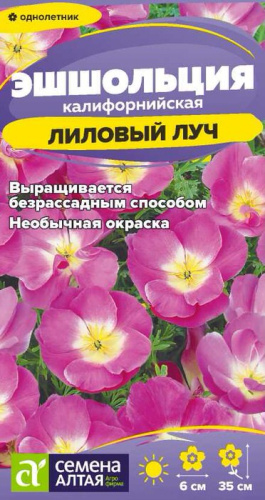 Эшшольция Лиловый луч 