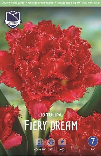 Тюльпан махровый бахромчатый "Fiery Dream" (1х10шт)