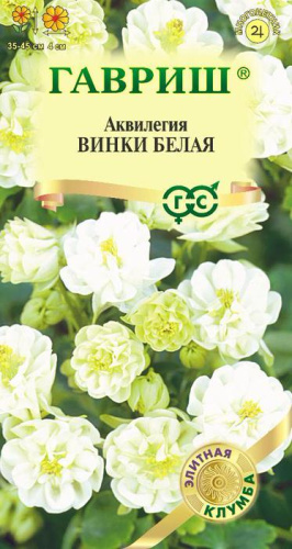 Аквилегия Винки белая 