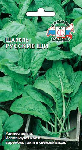 Щавель Русские щи 