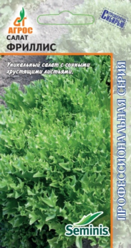 Салат Фриллис 