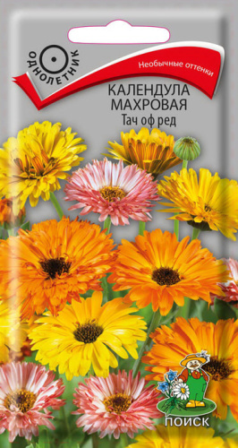 Календула махровая Тач оф Ред