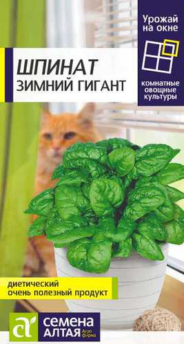 Шпинат Зимний Гигант  УРОЖАЙ НА ОКНЕ!