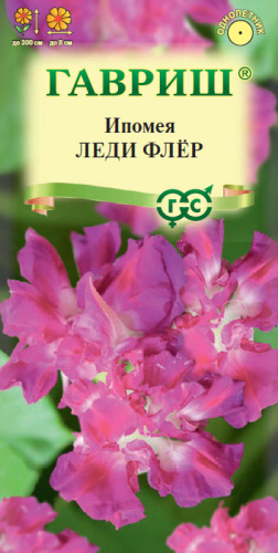 Ипомея нил Леди Флер махровая 