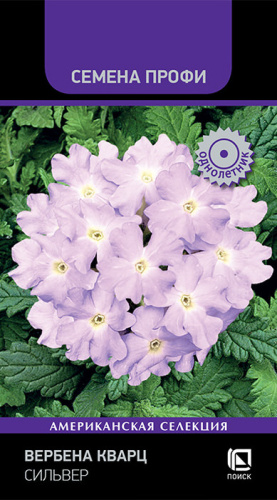 Вербена Кварц Сильвер 