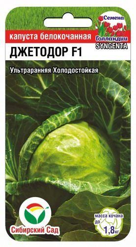 Капуста Джетодор F1 Syngenta