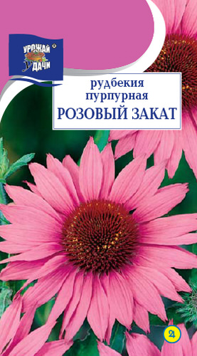 Рудбекия Розовый закат  