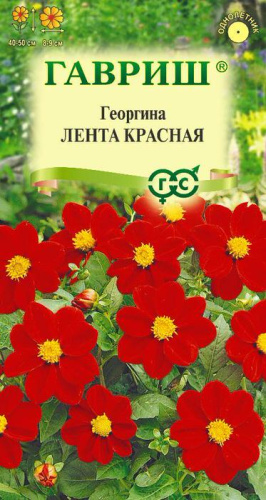 Георгина Лента красная 
