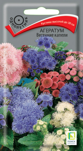 Агератум Весенние капели 