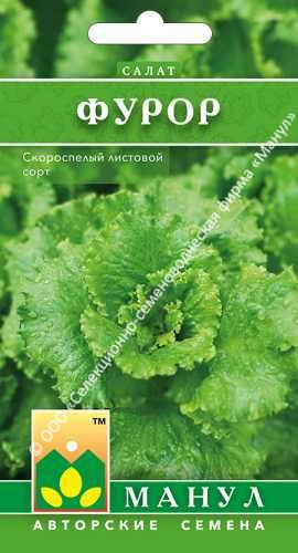 Салат Фурор