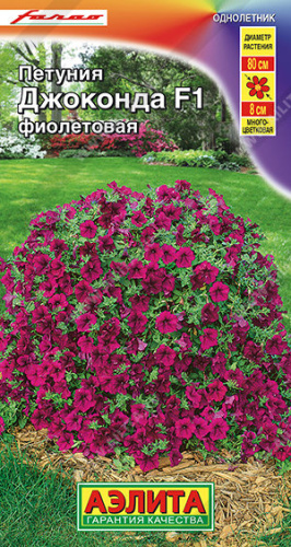 Петуния Джоконда F1 фиолетовая