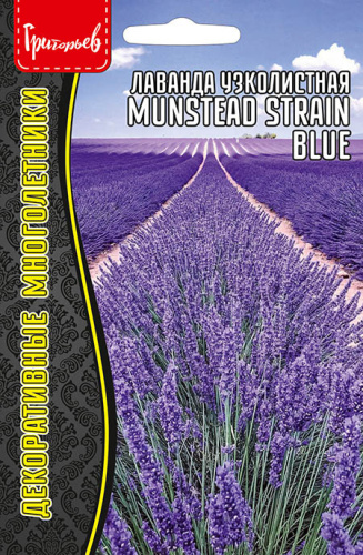 Лаванда Munstead Strain Blue узколистная 
