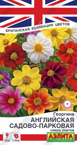 Георгина Английская садово-парковая, смесь 