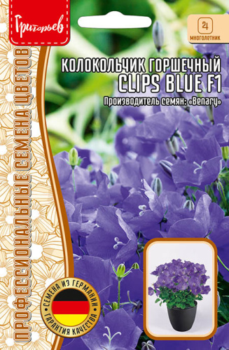 Колокольчик горшечный Клипс F1 Блу (Clips Blue)