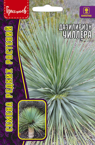 Дазилирион Уиллера