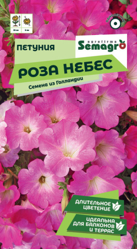 Петуния Роза небес 