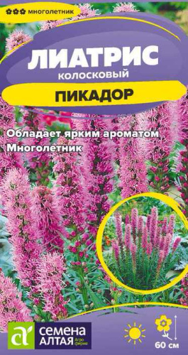 Лиатрис Пикадор
