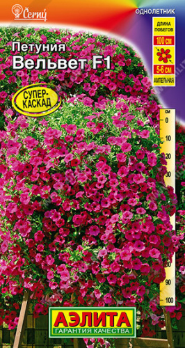Петуния Вельвет F1 ампельная 