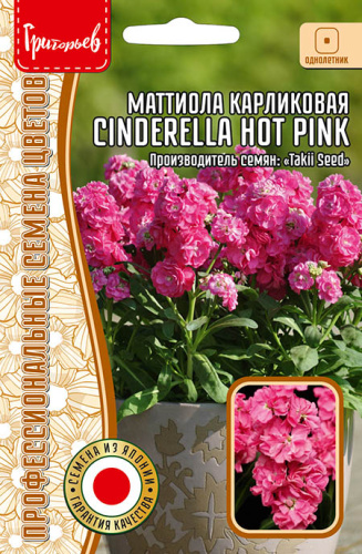 Маттиола Cinderella Hot Pinк карликовая
