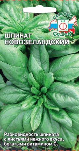 Шпинат Новозеландский 