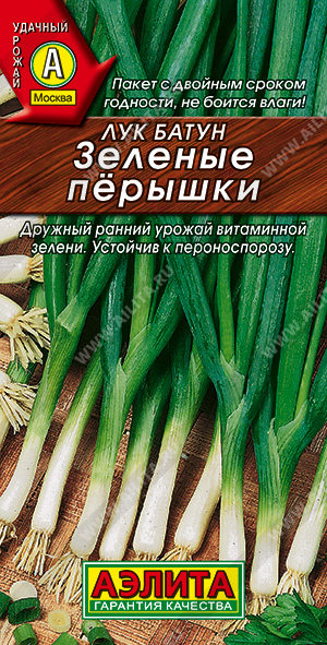 Лук (батун) Зеленые перышки