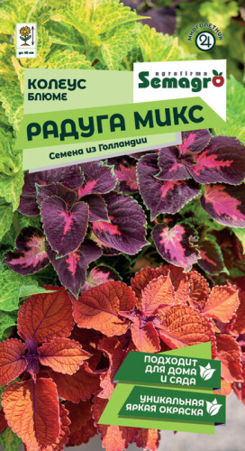 Колеус Блюме Радуга микс