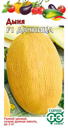 Дыня Дачница 