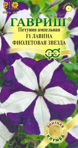 Петуния Лавина Фиолетовая Звезда F1 амп.гранул.  Элитная клумба 