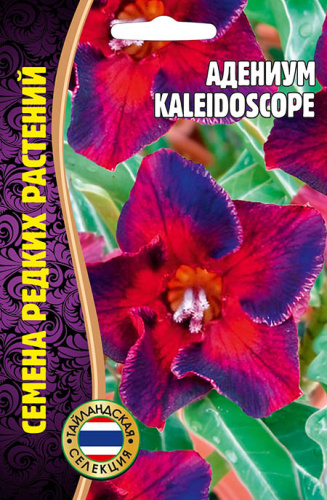 Адениум Калейдоскоп (Kaleidoscop)