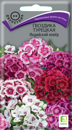 Гвоздика Индийский ковер турецкая