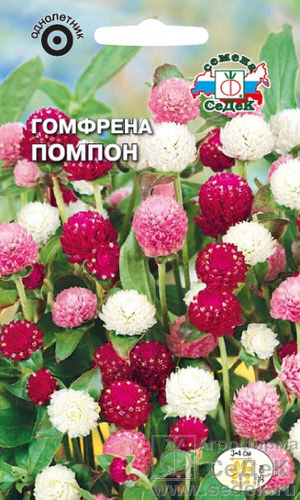 Гомфрена Помпон 