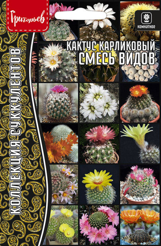 Кактус Смесь Видов карликовый