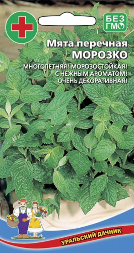 Мята Морозко перечная (УД) 