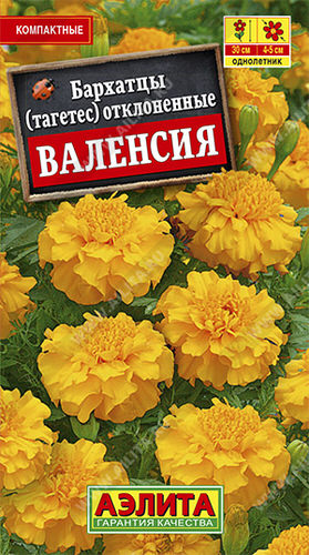 Бархатцы Валенсия отклоненные