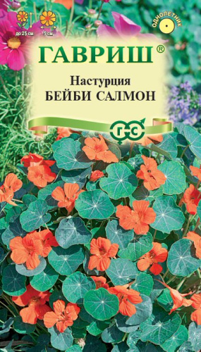 Настурция Бейби салмон