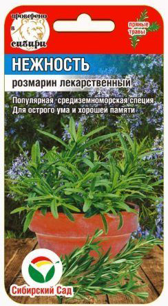 Розмарин Нежность 