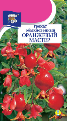 Гранат обыкновенный Оранжевый мастер