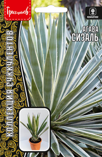 Агава Сизаль