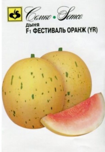Дыня Фестиваль Оранж