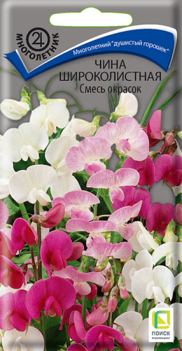 Чина широколистная, смесь 