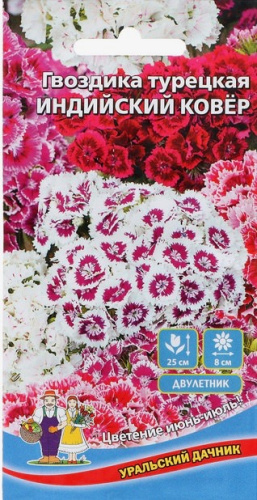 Гвоздика Индийский ковер турецкая