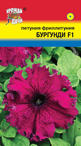 Петуния Фрилитуния Бургунди