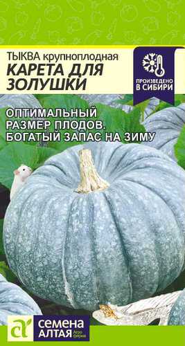Тыква Карета для Золушки 