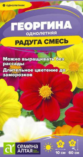 Георгина Радуга