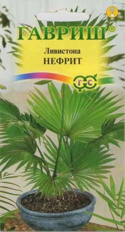 Ливистона Китайская Нефрит 