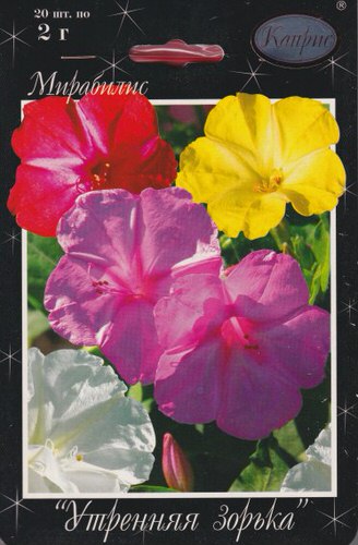 Мирабилис Утренняя Зорька смесь/1шт 