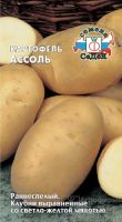 Картофель (семена) Ассоль  купить