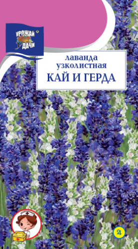 Лаванда Кай и Герда узколистная 