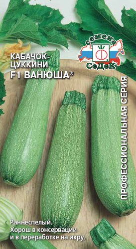 Кабачок Ванюша (св-зеленый) цуккини